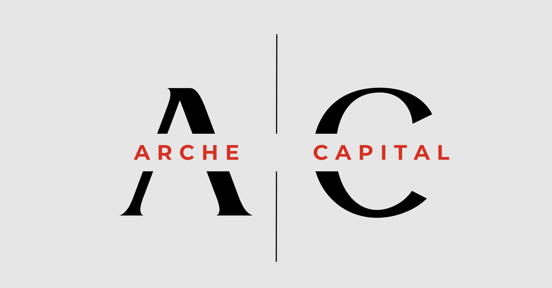 Arche Capital Business Advisory Small Business Development